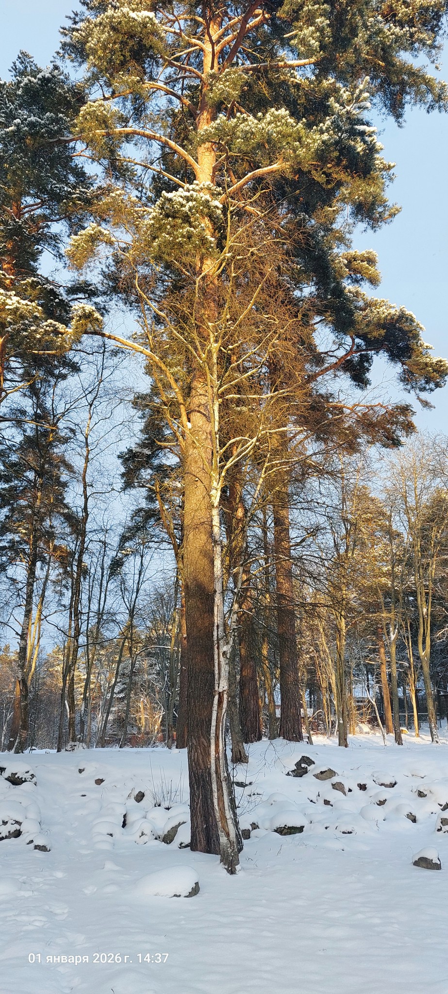 1000123524.jpg