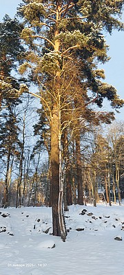 1000123524.jpg